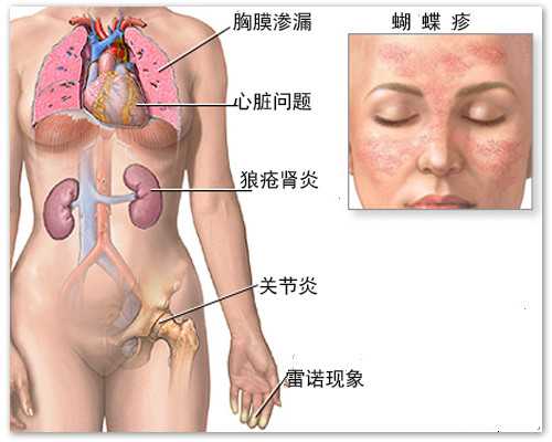 试管男的怎么取精子的！大概在多少！